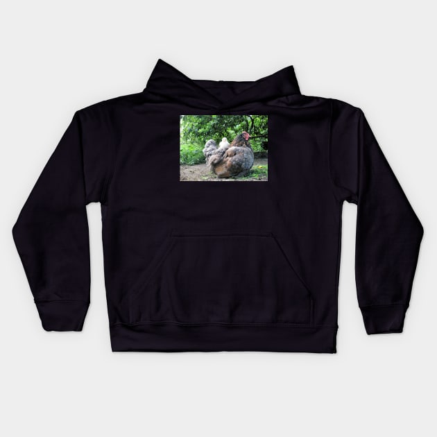 Baby on board - Hen and Chick Kids Hoodie by WesternExposure